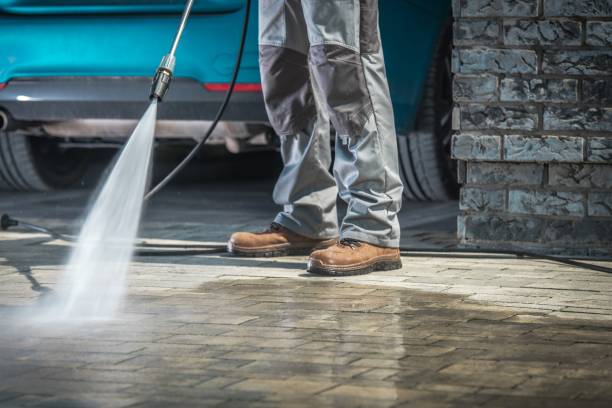 Best Dumpster Area Cleaning  in Santa Paula, CA